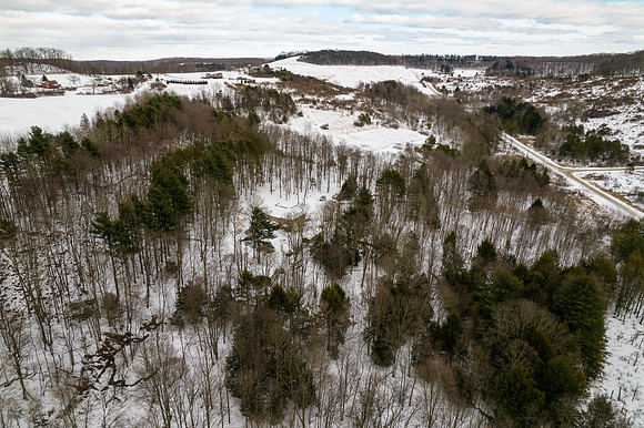 613 Shinbone Road-12