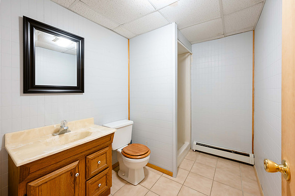 Lower Level Bathroom