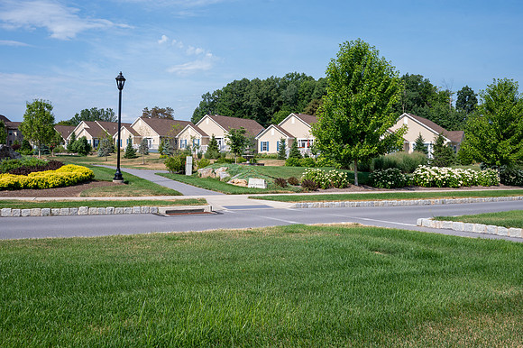 High res PENN STATE-8586