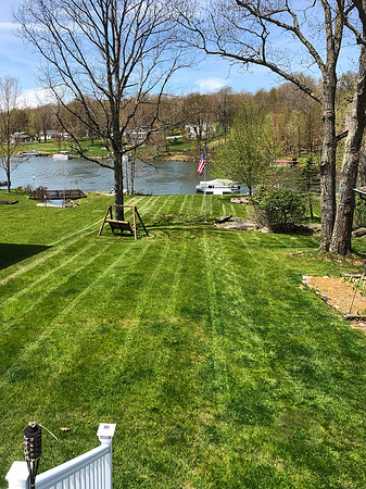 Backyard - summer-2