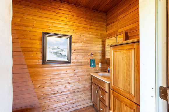 Lower Level 1-2 Bath