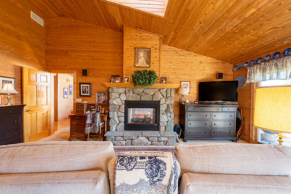 Fireplace flames-2