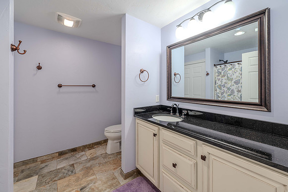 Lower Level 1st Bathroom
