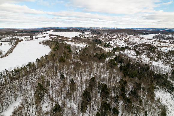 613 Shinbone Road-11