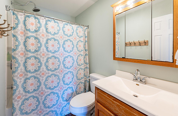 Hallway Bathroom