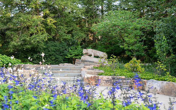 High res PENN STATE--50