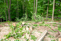 bimini lake lot-5