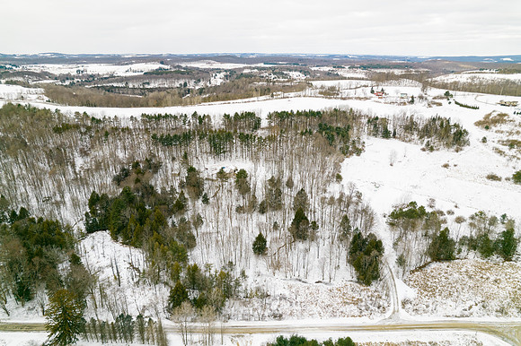 613 Shinbone Road-9