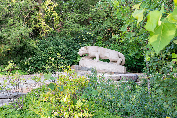 High res PENN STATE--64