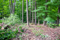 bimini lake lot-11