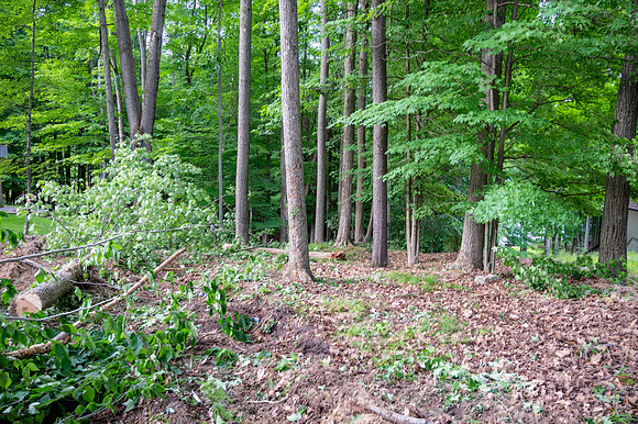 bimini lake lot-11