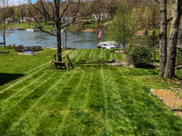 Backyard - summer