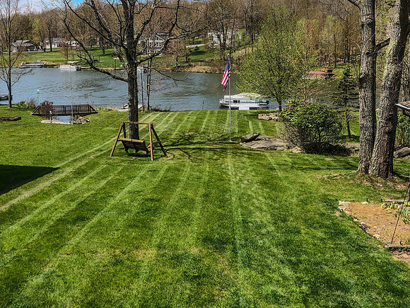 Backyard - summer