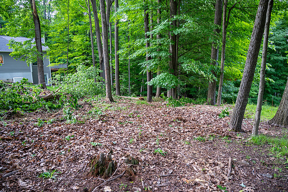 bimini lake lot-10