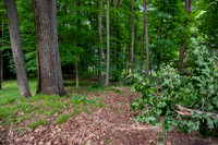 bimini lake lot-6