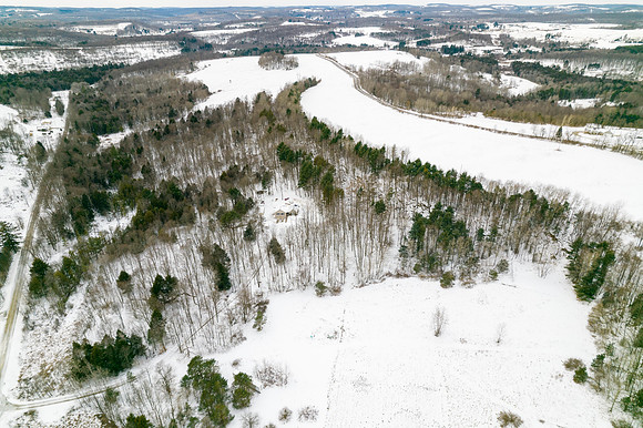 613 Shinbone Road-7
