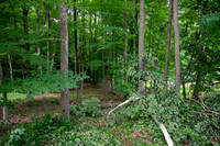 bimini lake lot-7