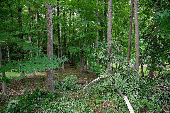 bimini lake lot-7
