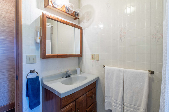 Lower Level Bathroom-2