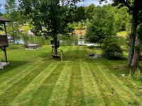 Backyard - summer-4