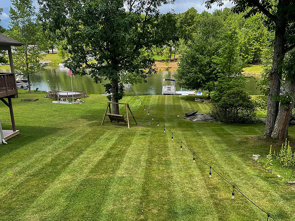 Backyard - summer-4