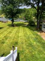 Backyard - summer-3