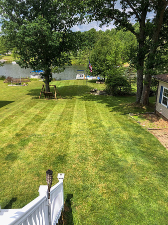 Backyard - summer-3