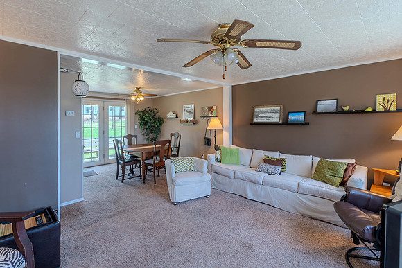 Living Room-4